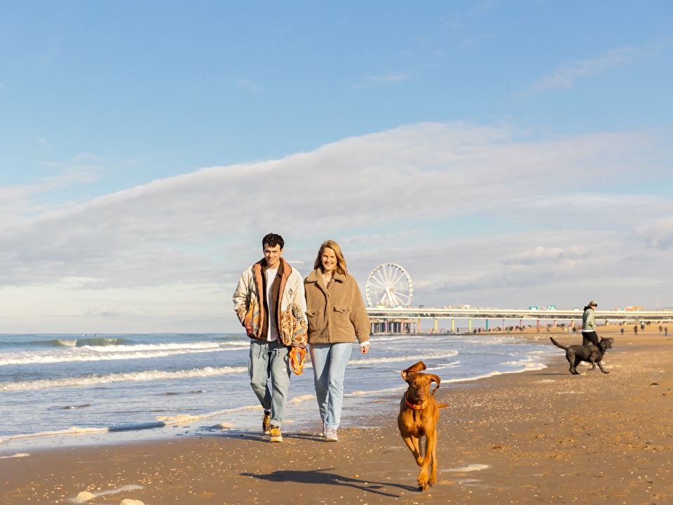 couple walking down the beach with dog in scheveningen